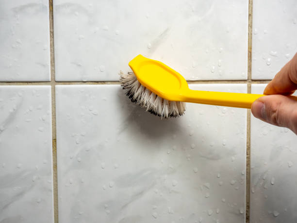 Best Mold Remediation for Schools in Brookfield, MO