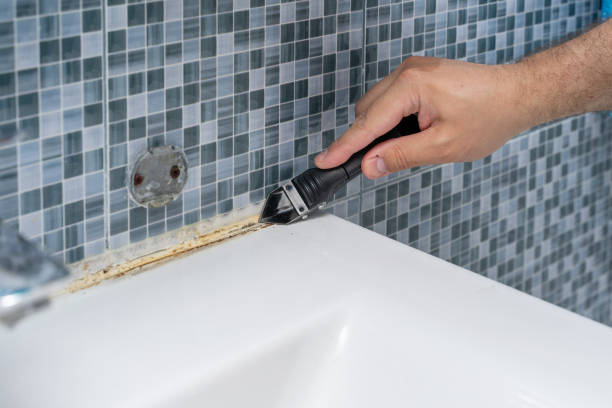 Best Mold Testing and Inspection Services in Brookfield, MO